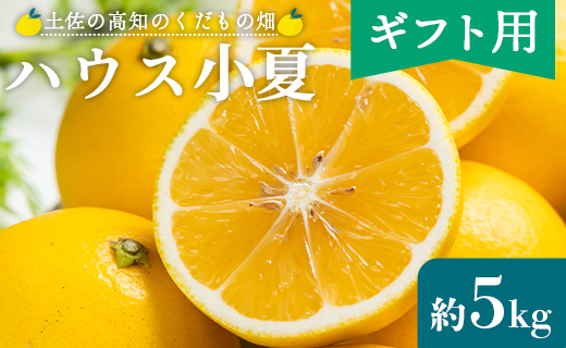 【2026年出荷分】【贈答用】ハウス小夏(日向夏) 5kg 高知 土佐 こなつ 果物 フルーツ 土佐の高知のくだもの畑 【先行予約】 - 柑橘 おいしい 国産 贈答用 お礼 御礼 kd-0032