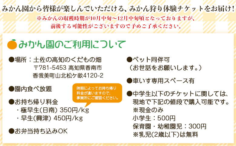 みかん狩り体験チケット 3名分(１０月中旬～１２月中旬頃) - ミカン狩り 蜜柑狩り 柑橘 フルーツ 利用券 旅行 観光 高知県 香南市 kd-0018