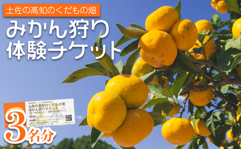 みかん狩り体験チケット 3名分(１０月中旬～１２月中旬頃) - ミカン狩り 蜜柑狩り 柑橘 フルーツ 利用券 旅行 観光 高知県 香南市 kd-0018