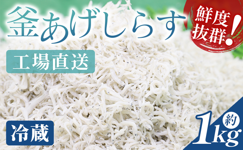 【冷蔵】釜あげしらす(ちりめん) 約1kg - 国産 ちりめん しらす シラス 稚魚 魚介 魚 海産物 天日干し 釜茹で ドロメ サラダ 和え物 アレンジ 料理 ご飯のお供 三浦屋海産 高知県 香南市 冷蔵 mu-0008