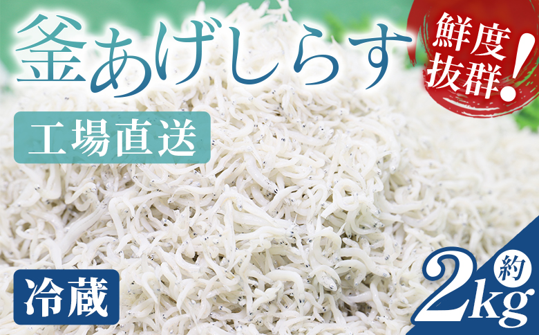 【冷蔵】釜あげしらす(ちりめん) 約2kg - 国産 ちりめん しらす シラス 稚魚 魚介 魚 海産物 天日干し 釜茹で ドロメ サラダ 和え物 アレンジ 料理 ご飯のお供 三浦屋海産 高知県 香南市 冷蔵 mu-0017