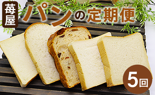 【5か月定期便】苺屋 食パンの定期便 5回 - 送料無料 しょくぱん お楽しみ 食べ比べ こだわり レーズン 酒粕 白玉糖 贈り物 ギフト 贈答 朝食 おやつ ベーカリー パン好き Wit-0071