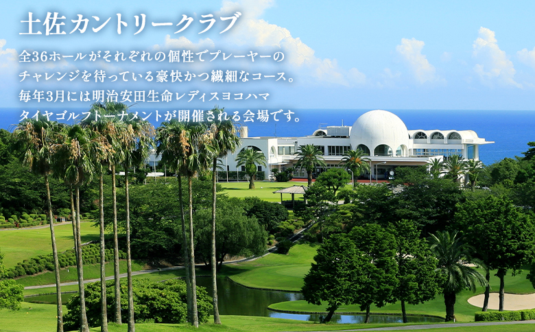 ããŽã«ãïŒå®¿æ³ãã©ã³ãåäœã«ã³ããªãŒã¯ã©ã(å¹³æ¥)ïŒãªãŸãŒãããã«æµ·èŸºã®ææš¹å 1æ³2é£ä»ïŒVIPã«ãŒã ïŒ hj-0007