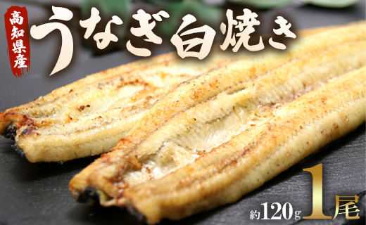 うなぎ屋きた本 うなぎ白焼き 1尾(約120g)(無頭) - 送料無料 鰻 ウナギ 魚介 山椒塩 惣菜 おかず のし ギフト 贈答 贈り物 プレゼント 丑の日 国産 うなぎ屋きた本 高知県 香南市 冷凍 un-0008