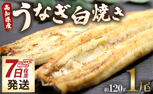 【スピード発送】うなぎ白焼き 1尾(約120g)(無頭) - 送料無料 鰻 ウナギ 魚介 山椒塩 惣菜 おかず のし ギフト 贈答 贈り物 プレゼント 丑の日 国産 うなぎ屋きた本 高知県 香南市 冷凍 un-0016