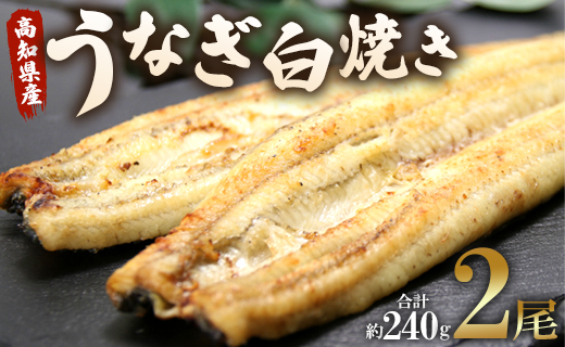 うなぎ屋きた本 うなぎ白焼き 2尾(合計約240g)(無頭) - 送料無料 鰻 ウナギ 魚介 惣菜 おかず 山椒塩 ギフト のし 贈り物 プレゼント 贈答 丑の日 うなぎ屋きた本 高知県 香南市 冷凍 un-0010