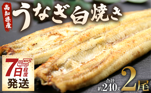 【スピード発送】うなぎ白焼き 2尾(合計約240g)(無頭) - 送料無料 鰻 ウナギ 魚介 惣菜 おかず 山椒塩 ギフト のし 贈り物 プレゼント 贈答 丑の日 うなぎ屋きた本 高知県 香南市 冷凍 un-0017