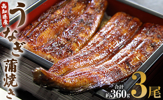 うなぎ蒲焼き 3尾(合計約360g)(無頭) - 送料無料 鰻 ウナギ 魚介 晩ご飯 夕飯 おかず おつまみ スタミナ 敬老の日 ギフト 贈答 贈り物 丑の日 うなぎ屋きた本 高知県 香南市 冷凍 un-0015