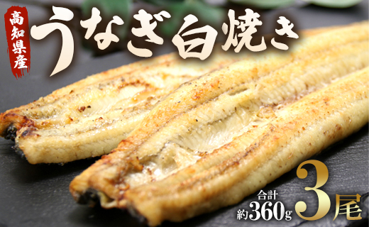 うなぎ屋きた本 うなぎ白焼き 3尾(合計約360g)(無頭) - 送料無料 鰻 ウナギ 魚介 惣菜 おかず 山椒塩 のし ギフト 贈答 贈り物 プレゼント 丑の日 うなぎ屋きた本 高知県 香南市 冷凍 un-0012