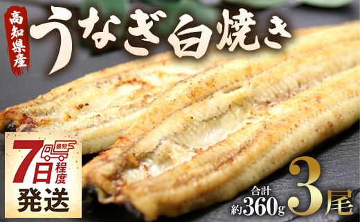 【スピード発送】うなぎ白焼き 3尾(合計約360g)(無頭) - 送料無料 鰻 ウナギ 魚介 惣菜 おかず 山椒塩 のし ギフト 贈答 贈り物 プレゼント 丑の日 うなぎ屋きた本 高知県 香南市 冷凍 un-0018