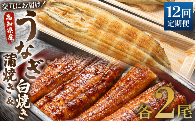 うなぎ 定期便 12回 うなぎ蒲焼き&白焼き120g 2尾(無頭)　交互にお届け 魚介 国産 海鮮 魚 かばやき 鰻 ウナギ 惣菜 おかず お手軽 加工品 加工食品 冷凍 しらやき セット 食べ比べ Wun-0050