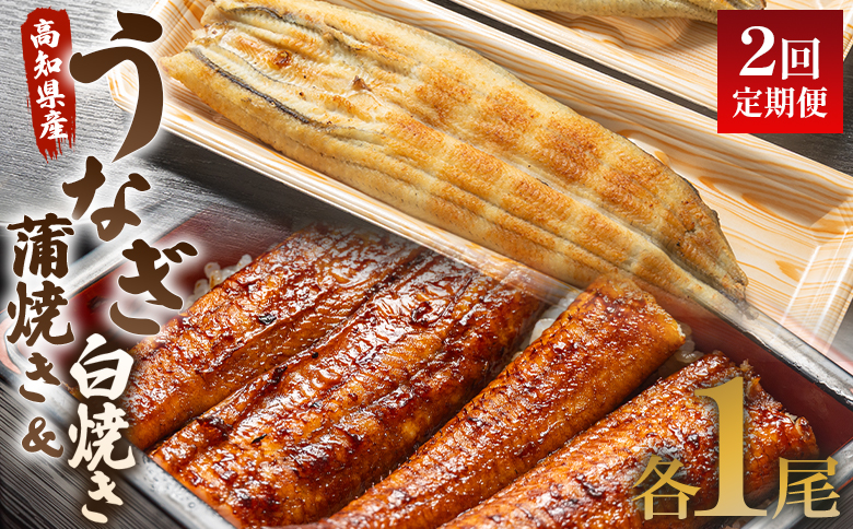 うなぎ 定期便 2回 うなぎ 蒲焼き 白焼き セット 120g 各1尾(無頭) 魚介 国産 海鮮 魚 かばやき 鰻 ウナギ 惣菜 おかず お手軽 しらやき 加工品 加工食品 冷凍 Wun-0101