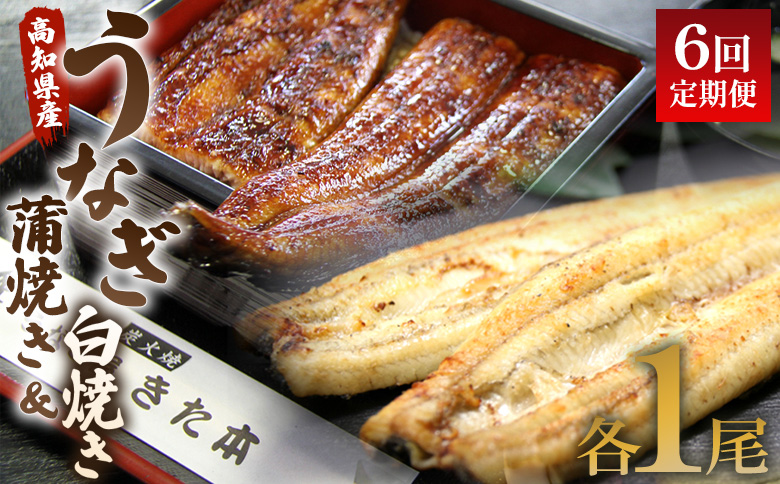 うなぎ 定期便 6回 うなぎ 蒲焼き 白焼き セット 120g 各1尾(無頭) 魚介 国産 海鮮 魚 かばやき 鰻 ウナギ 惣菜 おかず お手軽 しらやき 加工品 加工食品 冷凍  Wun-0053