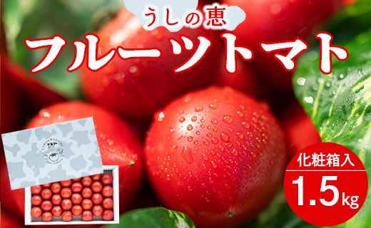 【数量限定】うしの恵 フルーツトマト 化粧箱入り 約1.5kg - 野菜 とまと 産地直送 2025年発送 令和7年 料理 アレンジ サラダ 鍋 サンドイッチ 完熟 甘い あまい フレッシュ さっぱり 酸味 ギフト 贈答 お礼 御礼 おいしい 国産 高知県 香南市 mj-0013