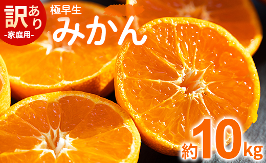 家庭用 訳あり 極早生みかん 約10kg - 送料無料 温州みかん デザート ごくわせ フルーツ くだもの 果物 蜜柑 ミカン 柑橘 ご自宅用 旬 季節 かなや農園 10キロ 柑橘類 柑橘 系 訳アリ オレンジ うんしゅう みずみずしい フレッシュ ジューシー 果汁 さわやか 爽やか わせ 早生 おとりよせ お取り寄せ 皮 傷 キズ 箱 ジャム ジュース ママレード マーマレード 酸味 糖度 おいしい 美味しい やみつき 濃厚 のうこう 国産 特産品 高知県 香南市 be-0027