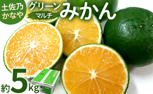 【数量限定】土佐乃かなや マルチ グリーンみかん 約5kg - ミカン 蜜柑 柑橘 果実 果物 フルーツ 送料無料 のし 熨斗 酸味 甘い ジューシー みずみずしい 果汁 爽やか さわやか 5キロ くだもの 早生 極早生 わせ 柑橘類 柑橘 系 おいしい 美味しい ギフト 贈り物 プレゼント 箱入り すっぱい 酸っぱい おとりよせ お取り寄せ おすそわけ かなや農園 合同会社Benifare 高知県 香南市 常温 be-0015