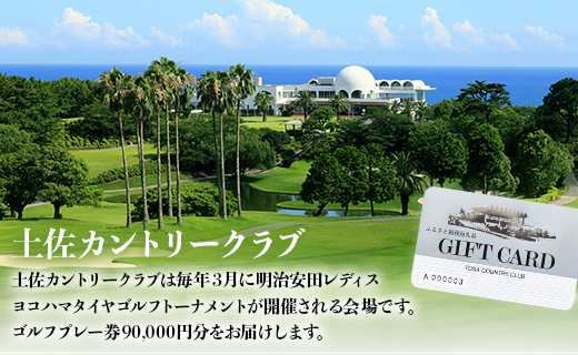 土佐カントリークラブ プレー券 90,000円分 - ゴルフ場 チケット プレー券 ラウンド コース 90000円 趣味 体験 スポーツ アウトドア 手結山開発観光株式会社 高知県 香南市 kb-0012