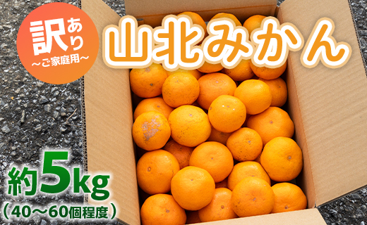 訳あり 山北みかん ご家庭用 約5kg（約40～60個） 山北みらい - 果物 フルーツ 柑橘類 温州みかん ミカン 蜜柑 訳アリ わけあり 生産者応援 甘い おいしい 高知県 香南市 yk-0022