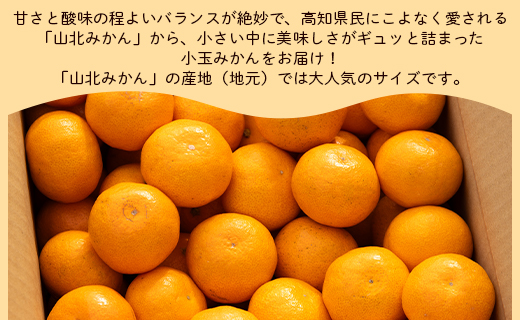 山北みかん 小玉サイズ(2S,3Sサイズ) 3kg 約35～50個入り - 果物 フルーツ 柑橘類 温州みかん ミカン 蜜柑 甘い おいしい 美味しい 山北みらい 高知県 香南市 yk-0028