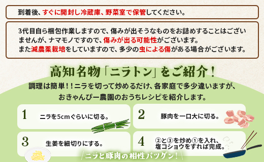 香南市産 ニラ 約3kg（100g×30束）- にら 韮 香味野菜 やさい 葉物 新鮮 生 料理 もつ鍋 餃子 饅頭 キムチ チヂミ 炒め物 おひたし 直送 国産 肉厚 高知県 on-0012