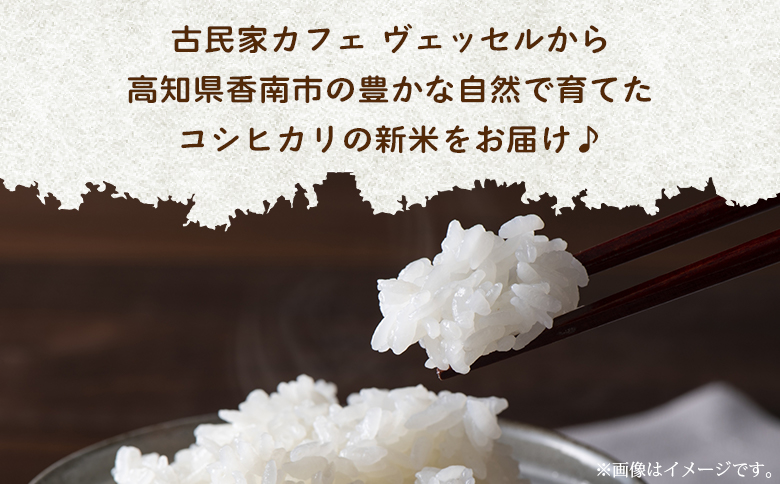 愛情注いで育てたコシヒカリの新米5kg - こしひかり お米 白米 精米 ご飯 ごはん 株式会社都築企画 高知県 香南市 td-0004