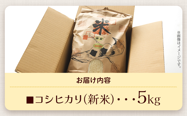 愛情注いで育てたコシヒカリの新米5kg - こしひかり お米 白米 精米 ご飯 ごはん 株式会社都築企画 高知県 香南市 td-0004