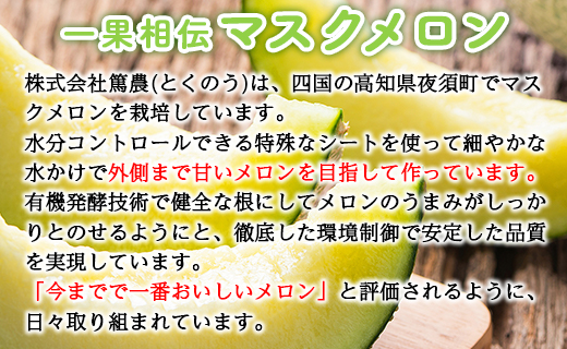 【期間限定】一果相伝 マスクメロン 家庭用 2玉入り - 送料無料 果物 くだもの フルーツ めろん 青肉 デザート スイーツ ご自宅用 美味しい おいしい 甘い あまい 篤農 とくのう ご褒美 ごほうび ちょっと贅沢 ぜいたく 高級 こうきゅう 特別 フレッシュ ジューシー 果汁 果肉 果実 おとりよせ お取り寄せ グルメ 記念日 誕生日 箱入り お礼 御礼 大きさ 不揃い 傷 キズ 網目 産地直送 高知県 香南市 常温 tn-0011