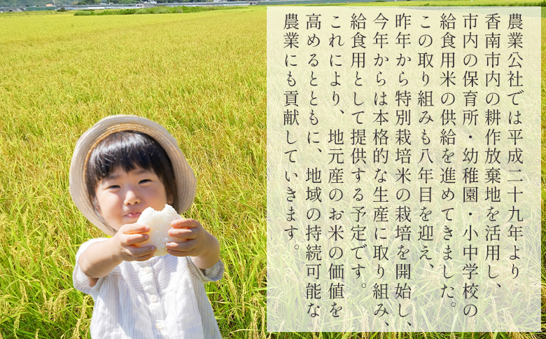 【7日程度で発送】令和7年産 コシヒカリ 無洗米 特別栽培米 真空パック 2kg - 国産 米 お米 おこめ こしひかり 白米 ごはん おにぎり おむすび ご飯 防災 非常食 備蓄 農業公社 高知県 香南市 nu-0001