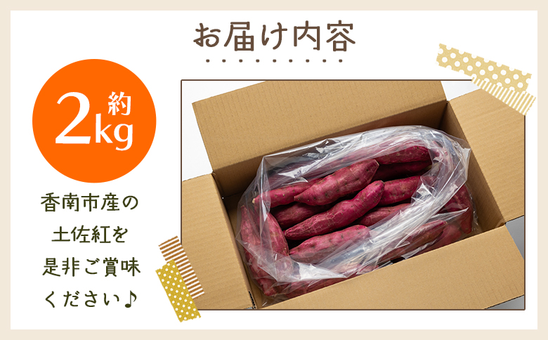 さつまいも（土佐紅）2kg - サツマイモ さつま芋 野菜 焼き芋 やきいも 焼いも おやつ スイーツ スイートポテト バター焼き アレンジ 料理 国産 高知県 香南市 yr-0042