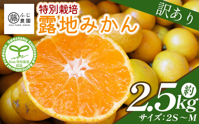 【2026年10月以降順次配送分】ふじ農園の露地みかん 訳あり品 2.5kg (2S～M) - 国産 蜜柑 ミカン 柑橘 果物 フルーツ 訳アリ ご家庭用 家庭用 自宅用 ふじ農園 高知県 香南市 常温 fn-0012