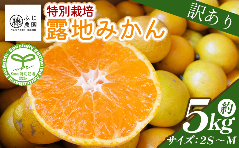 【2026年10月以降順次配送分】ふじ農園の露地みかん 訳あり品 5kg (2S～M) - 国産 蜜柑 ミカン 柑橘 果物 フルーツ 訳アリ ご家庭用 家庭用 自宅用 ふじ農園 高知県 香南市 常温 fn-0013
