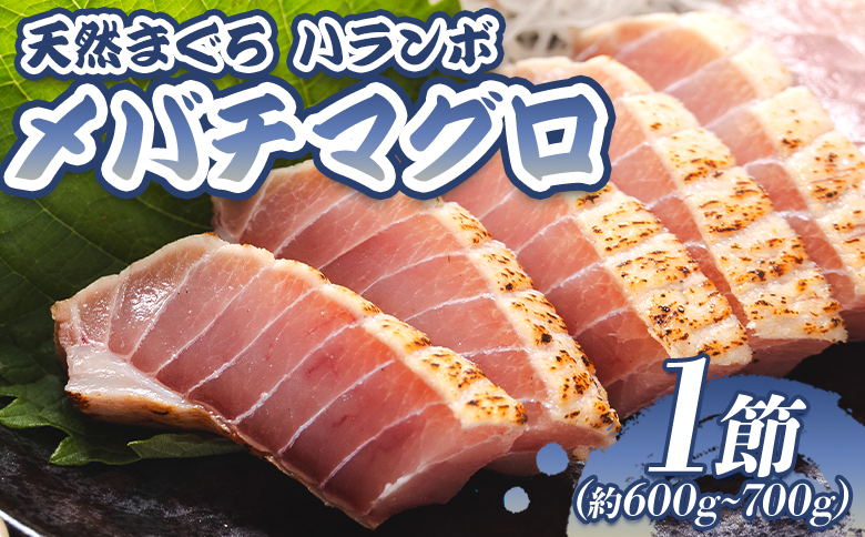 天然マグロ メバチマグロ ハランボ(腹身) たたき 1節 たたきのタレ付き - 鮪 まぐろ 赤身 寿司 刺身 丼 おつまみ 海の幸 高知県 香南市 oo-0004