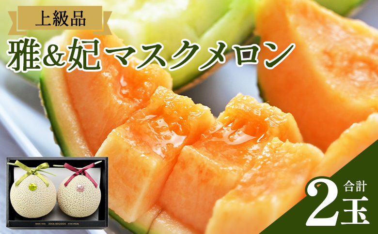 【先行予約受付】【上級品】雅&妃 マスクメロン 各１玉(合計２玉) - 青肉メロン 赤肉メロン セット めろん フルーツ くだもの 果物 完熟 おやつ 化粧箱入り ご褒美 果肉 果汁 ジューシー 果実 甘い 糖度 産地直送 篤農 tn-0027