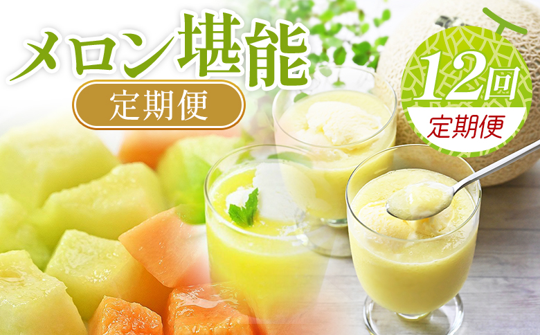 【12回定期便】メロン堪能定期便 - 国産 マスクメロン 完熟 赤肉 青肉 家庭用 フルーツ 果物 ピューレ シャーベット 飲み物 飲料 フルーツジュース 篤農 高知県 香南市 常温 冷凍 Wtn-0044