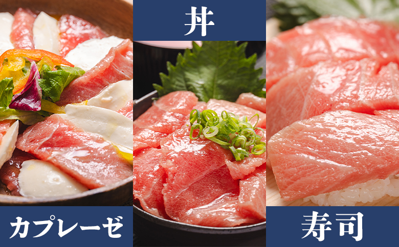 本マグロ 養殖大トロ 計約500g 2冊 - 鮪 まぐろ 寿司 刺身 海鮮丼 漬け丼 カルパッチョ おつまみ 海産物 魚介 海の幸 高知県 香南市 oo-0018