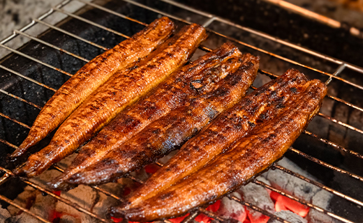 【7日程度で発送】うなぎ蒲焼き 3尾(合計約360g)(無頭) - 送料無料 鰻 ウナギ 魚介 晩ご飯 夕飯 おかず おつまみ スタミナ 敬老の日 ギフト 贈答 贈り物 丑の日 うなぎ屋きた本 高知県 香南市 冷凍 un-0015