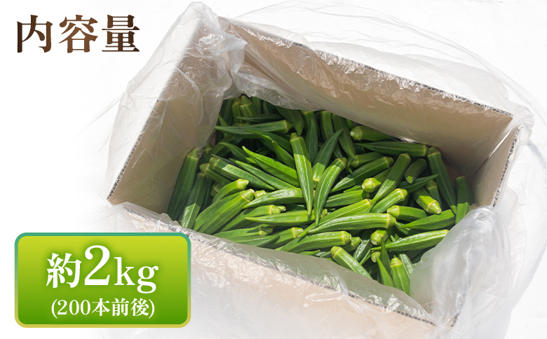 ã2026幎çºéåããªã¯ã© 2kg(200æ¬ååŸ) - ããã éè ããã æ°é®® æã©ã ææ¡ã æåç©« å£ç¯ æ¬ é²å°æ œå¹ åœç£ éŠååžç£ ãããããŽãŒèŸ²å é«ç¥ç éŠååž å·èµ on-0034