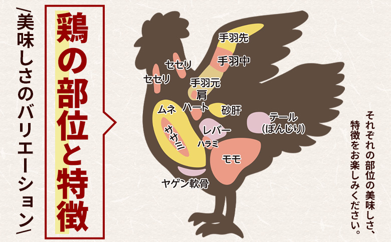 土佐はちきん地鶏 手羽元小肉 1kg 味付き - 国産 肉 味付け肉 鶏肉 骨抜き おかず からあげ 唐揚げ あぐりーど 高知県 香南市 冷蔵 ad-0004