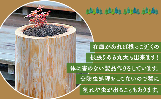 アイビーログ工房 土に還るプランター(丸太でできたプランター) ar-0010