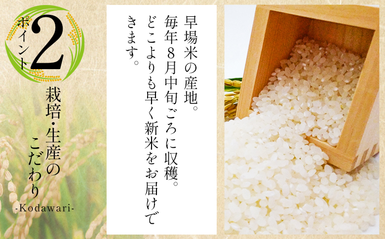 æ°ç±³ 什å8å¹Žç£ ã³ã·ãã«ãª 2kg - æ°ç±³ ãç±³ ããã åœç£ ç±³ 粟米 ã²ã®ã²ãã ãã¯ã çœç±³ ã飯 ãã«ãã ãããã³ æç 調ç é«ç¥ç éŠååž åžžæž© at-0055