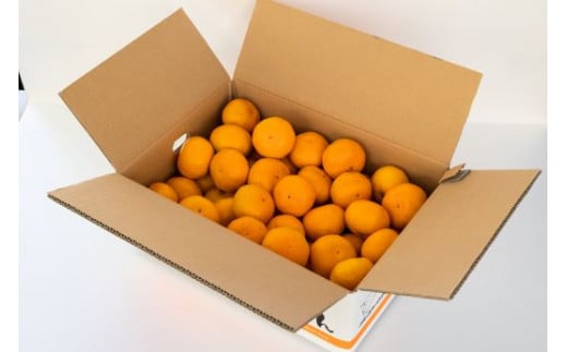 【先行予約】土佐の高知のくだもの畑 みかん(家庭用)10kg(5kg箱×2) - 温州みかん ミカン 訳アリ わけあり 蜜柑 ミカン 柑橘 柑橘類 フルーツ 果物 くだもの ご家庭用 ご自宅 美味しい おいしい 高知県 香南市 kd-0027