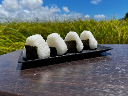 æ°ç±³ 什å8å¹Žç£ ã³ã·ãã«ãª 2kg - æ°ç±³ ãç±³ ããã åœç£ ç±³ 粟米 ã²ã®ã²ãã ãã¯ã çœç±³ ã飯 ãã«ãã ãããã³ æç 調ç é«ç¥ç éŠååž åžžæž© at-0055