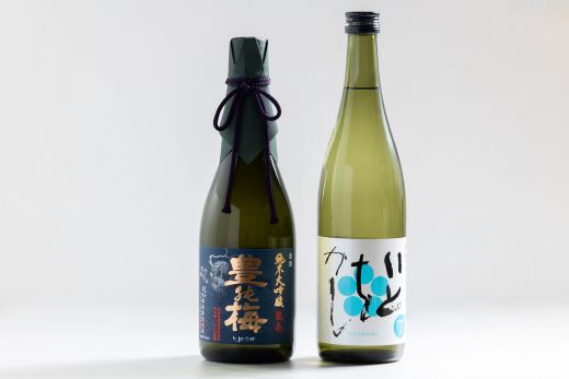 日本酒 飲み比べ 【2024全米日本酒歓評会金賞受賞酒セット】純米大吟醸 龍奏 純米吟醸 いとをかし 720ml 各1本 - 飲み比べ お酒 さけ 日本酒 米 飲み物 飲料 アルコール 晩酌 フルーティー セット 特産品 ギフト 贈り物 贈答用 プレゼント お酒好き 記念日 お礼 御礼 お祝い 晩酌 自分用 高知県 香南市 常温 gs-0197