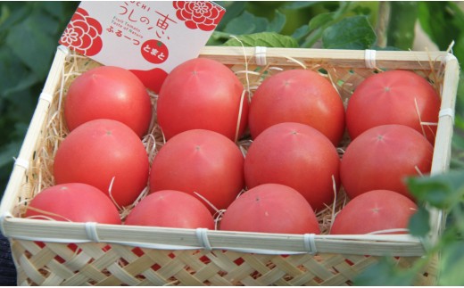 うしの恵 フルーツトマト籠入り1kg - 野菜 とまと 産地直送 料理 アレンジ サラダ 鍋 サンドイッチ 完熟 リコピン 甘い あまい フレッシュ さっぱり 贈答 お礼 御礼 おいしい 国産 高知県 香南市 常温 mj-0035