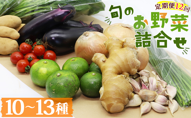 定期便12回コース 高知県香南市産 旬のお野菜詰合せ(10～13品目) - やさい おまかせ セット 土佐野菜 新鮮 高知県 香南市 Wpr-0010