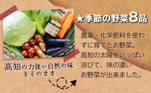 農薬不使用のお野菜8品とにんにく味噌のセット - やさい 詰め合わせ 詰合せ 旬の野菜 土佐野菜 10～13種類 季節品 お楽しみ おまかせ お任せ おまかせ ミソ みそ 調味料 特産品 国産 高知県 香南市 pr-0011