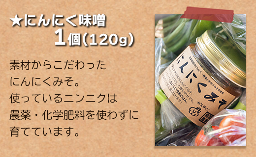 農薬不使用のお野菜8品とにんにく味噌のセット - やさい 詰め合わせ 詰合せ 旬の野菜 土佐野菜 10～13種類 季節品 お楽しみ おまかせ お任せ おまかせ ミソ みそ 調味料 特産品 国産 高知県 香南市 pr-0011