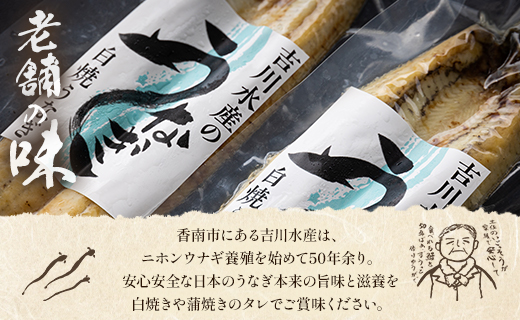 高知県産うなぎの白焼き 2尾(合計280g以上) タレ付き - 鰻 ウナギ しらやき おつまみ のし対応可 ギフト 贈答 国産 贈答用 贈り物 送料無料 吉川水産 高知県 香南市【冷凍】 yw-0049