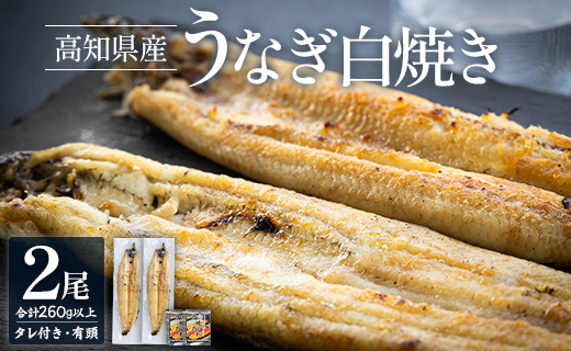 高知県産うなぎの白焼き 130～150g×2尾 エコ包装 国産 うなぎ 白焼き 鰻 冷凍 高知 yw-0051