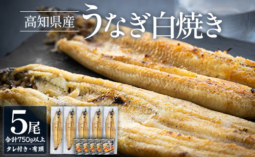 高知県産うなぎの白焼き 5尾 合計750g以上（1尾150～180g）タレ付き エコ包装 - 鰻 ウナギ しらやき たれ 有頭 おつまみ ご飯のお供 うな丼 うな重 簡易包装 ご家庭用 ご自宅用 老舗 国産 土佐湾 丼ぶり ひつまぶし 肴 夕飯 夕食 朝食 ご飯のお供 土用の丑の日 お取り寄せ パック お祝い 贅沢 ぜいたく お礼 御礼 挨拶 あいさつ 内祝い 美味しい おいしい おとりよせ お取り寄せ グルメ 晩酌 お酒のお供 うなぎ大好き  吉川水産 高知県 香南市 冷凍 yw-0060